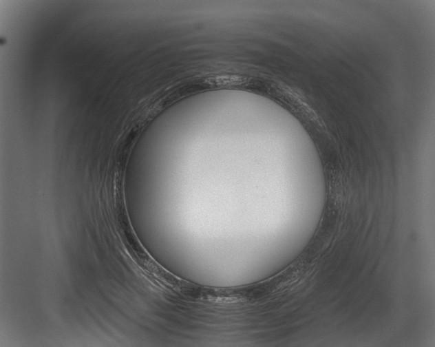 X0000083620645200702120750