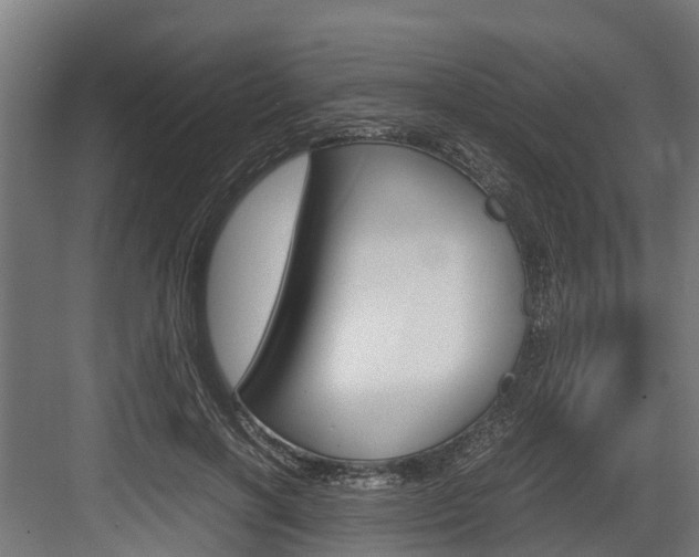 X0000083620646200702120750