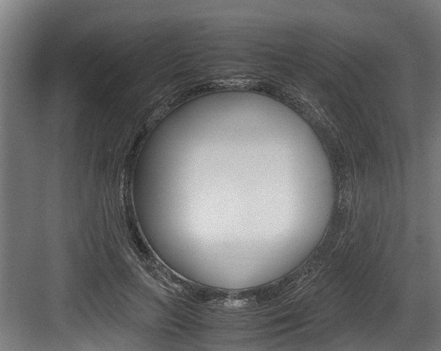 X0000083620647200702120750