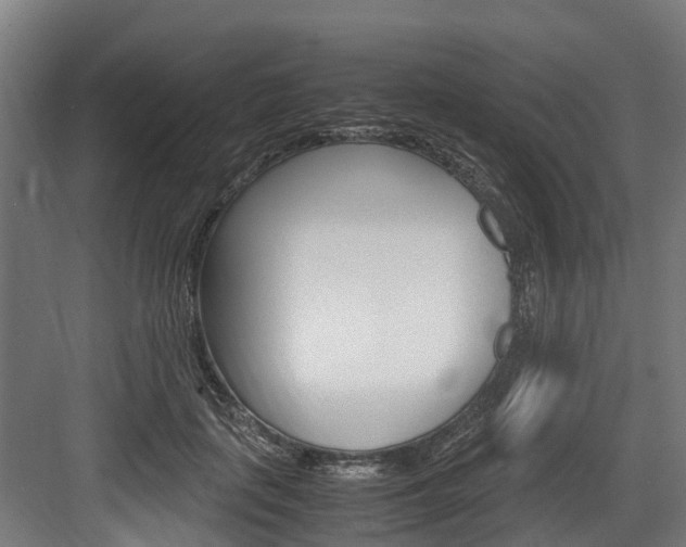 X0000083620651200702120750