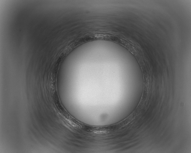 X0000083620653200702120751