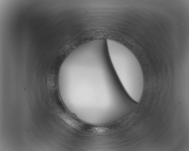X0000083620654200702120751