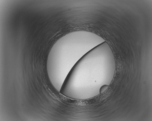 X0000083620656200702120751