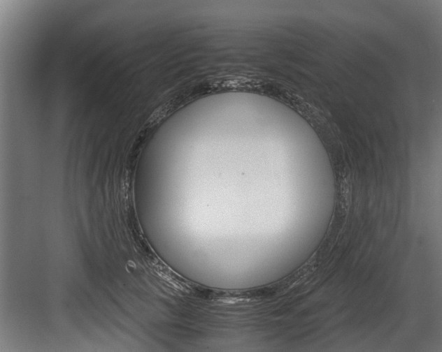 X0000083620657200702120751