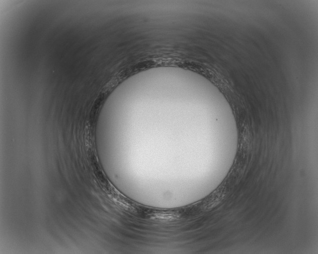 X0000083620659200702120751