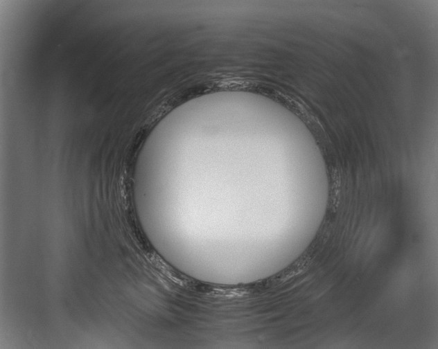 X0000083620667200702120751