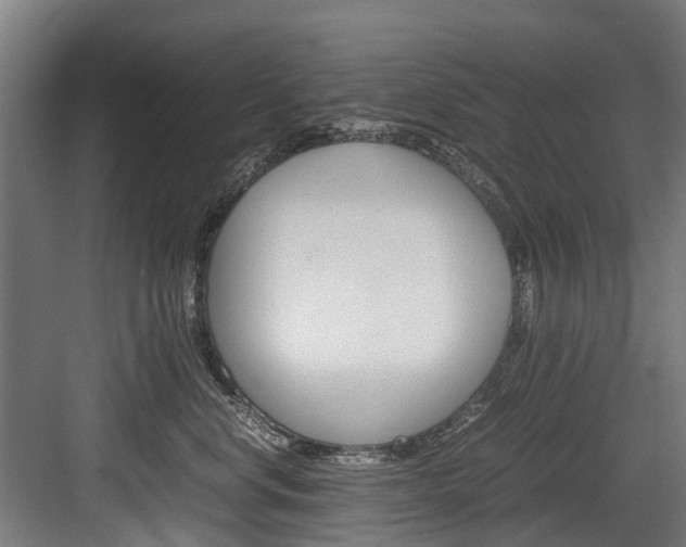 X0000083620668200702120751