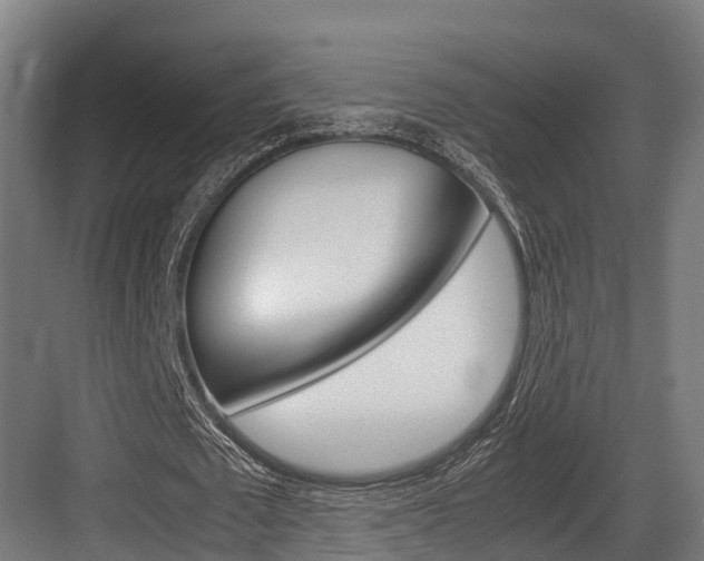 X0000083620673200702120750
