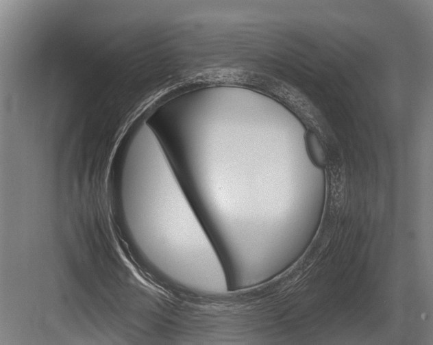 X0000083620674200702120750