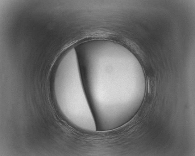 X0000083620675200702120750
