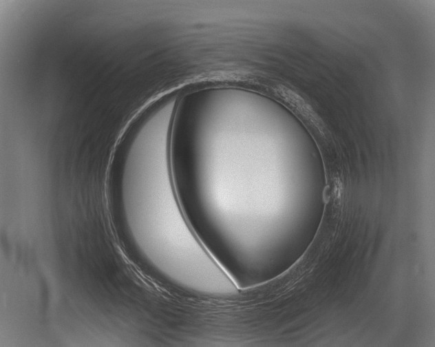 X0000083620676200702120750