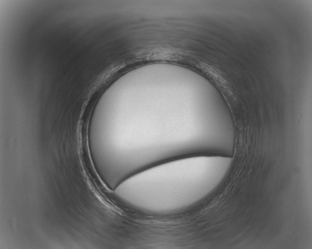 X0000083620678200702120750