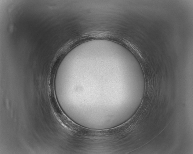 X0000083620682200702120750