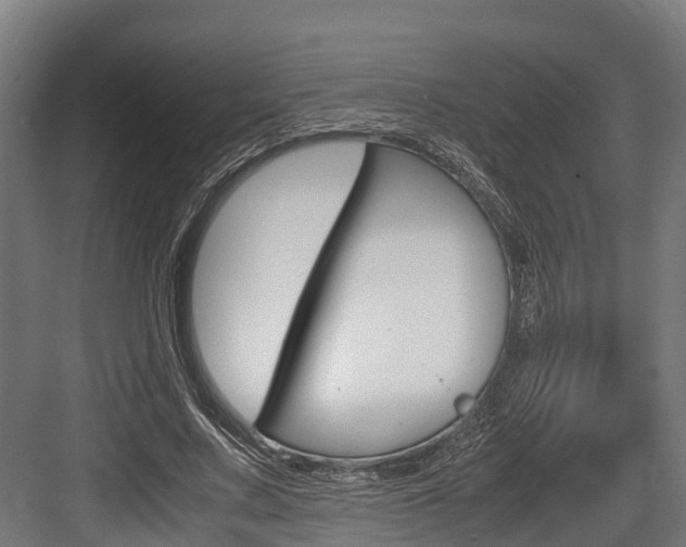X0000083620683200702120750