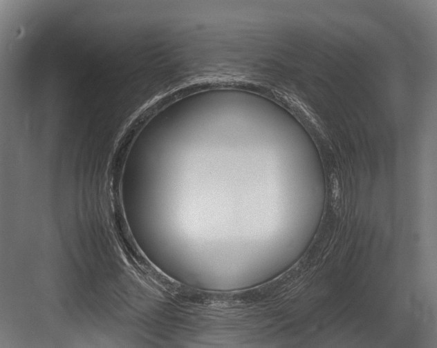 X0000083620684200702120750