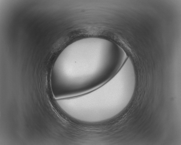 X0000083620685200702120750