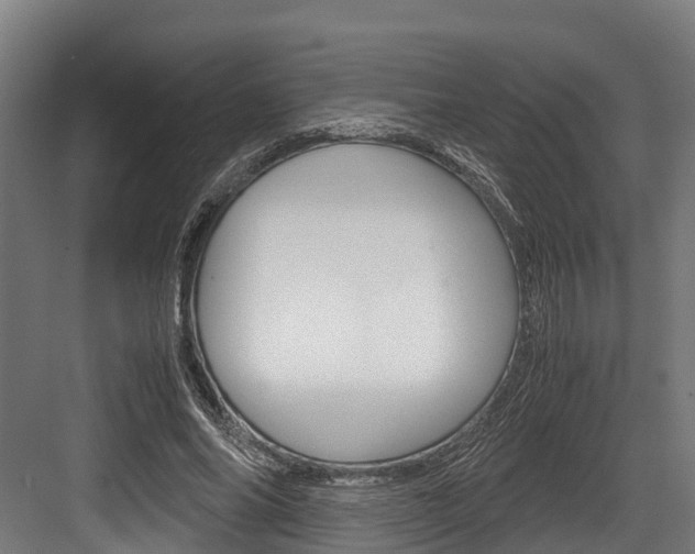 X0000083620686200702120750