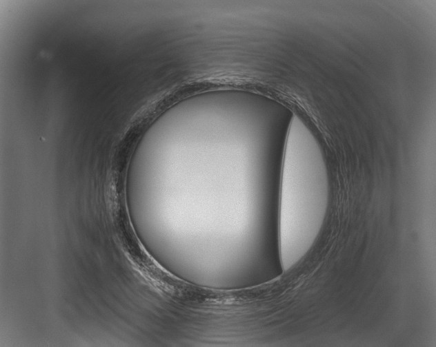 X0000083620688200702120750