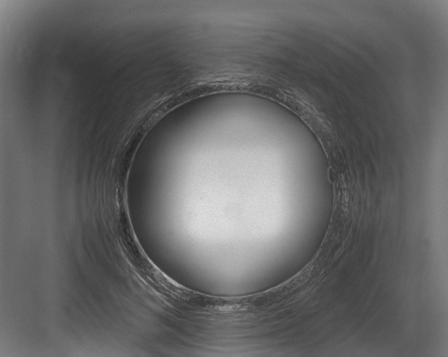 X0000083620692200702120750