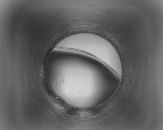 X0000083620693200702120750