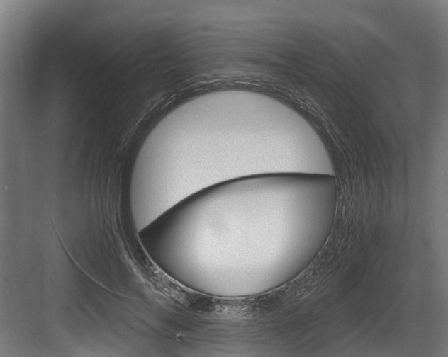 X0000083620694200702120750