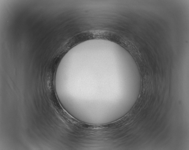X0000083620698200702120750
