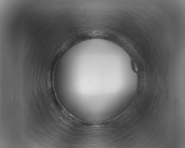 X0000083620700200702120750