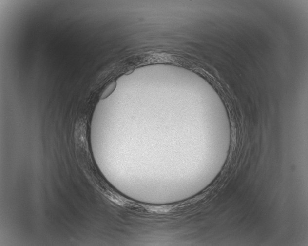 X0000083620701200702120750