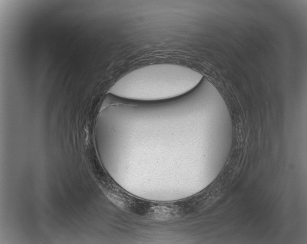 X0000083620703200702120750