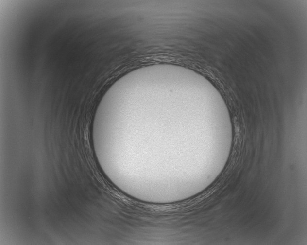 X0000083620705200702120749
