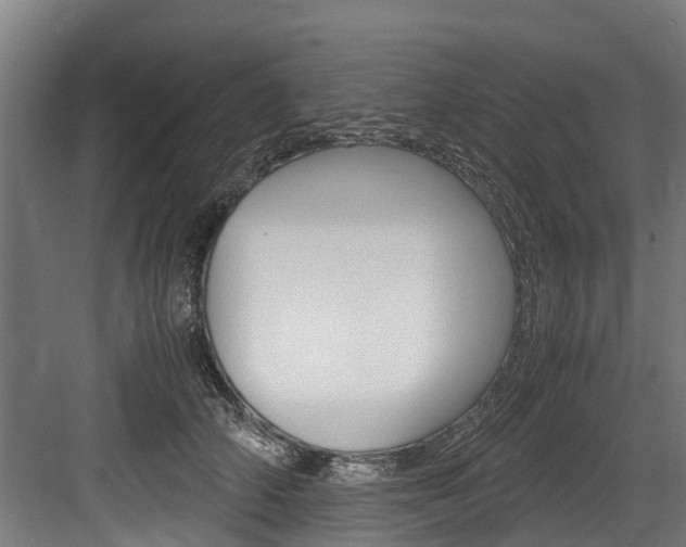 X0000083620706200702120749