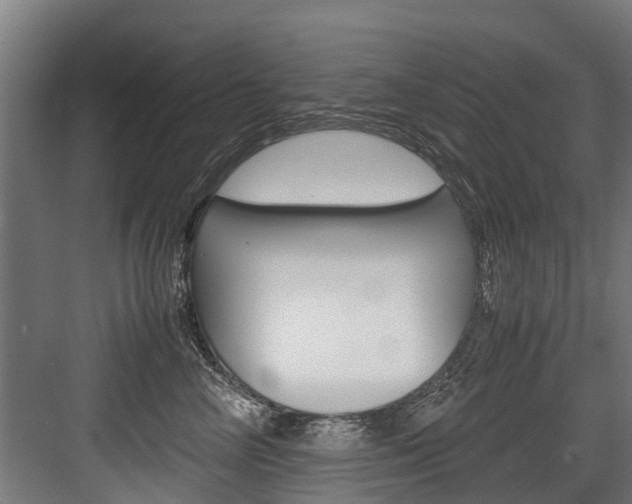 X0000083620714200702120749