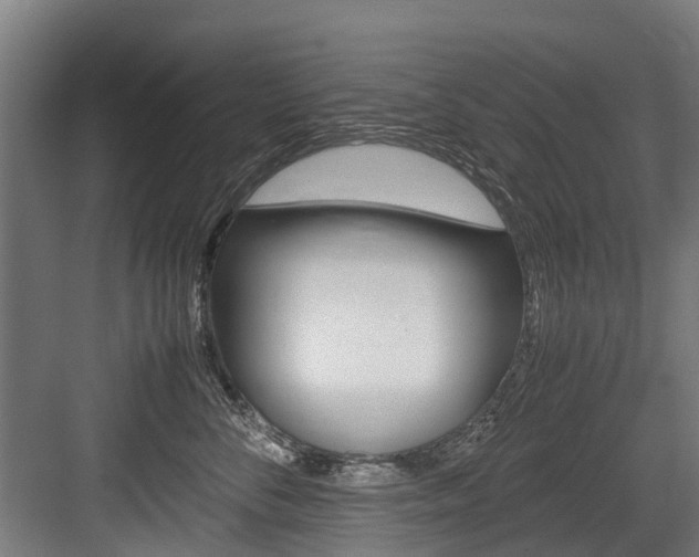 X0000083620716200702120749