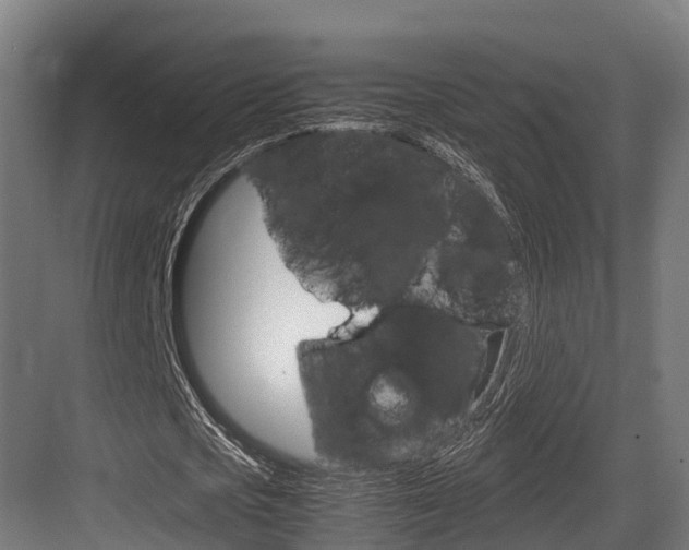 X0000083620721200702120748