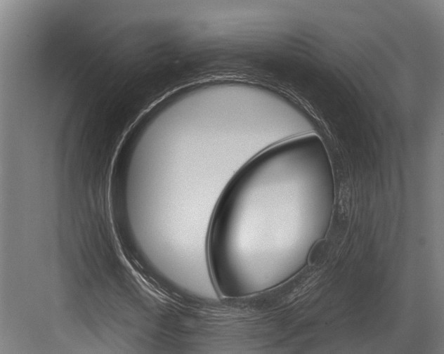 X0000083620722200702120748
