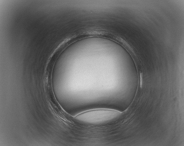 X0000083620723200702120748