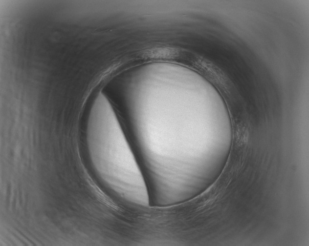X0000083620725200702120748