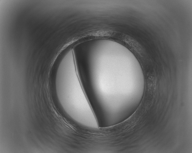 X0000083620727200702120749