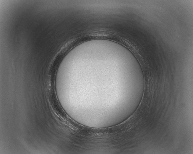 X0000083620731200702120749