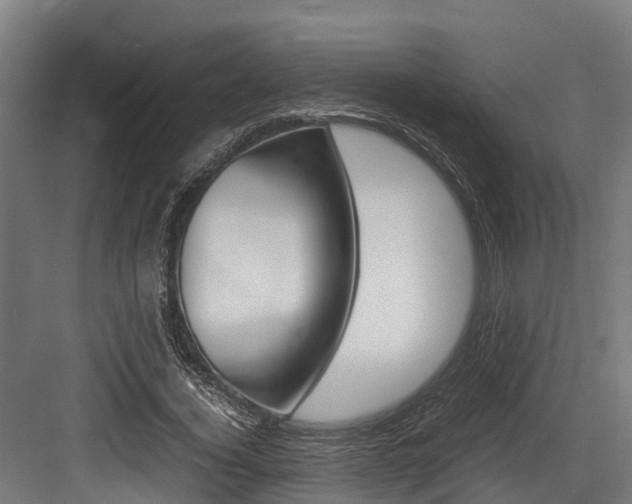 X0000083620732200702120749