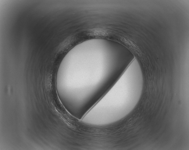 X0000083620735200702120749