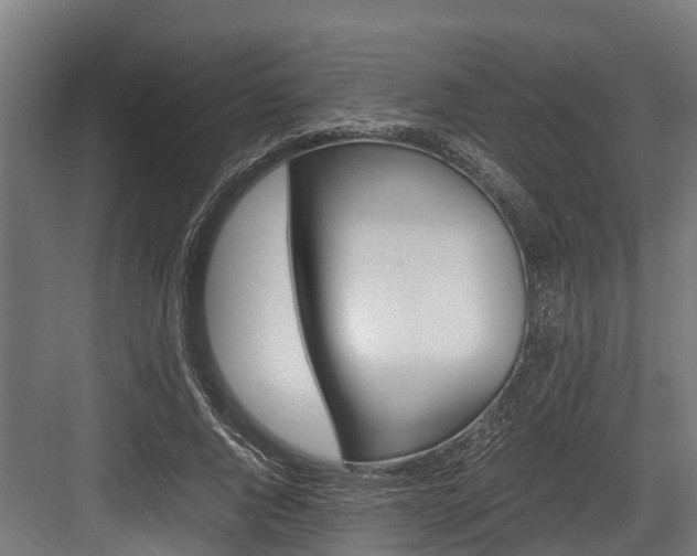 X0000083620736200702120749