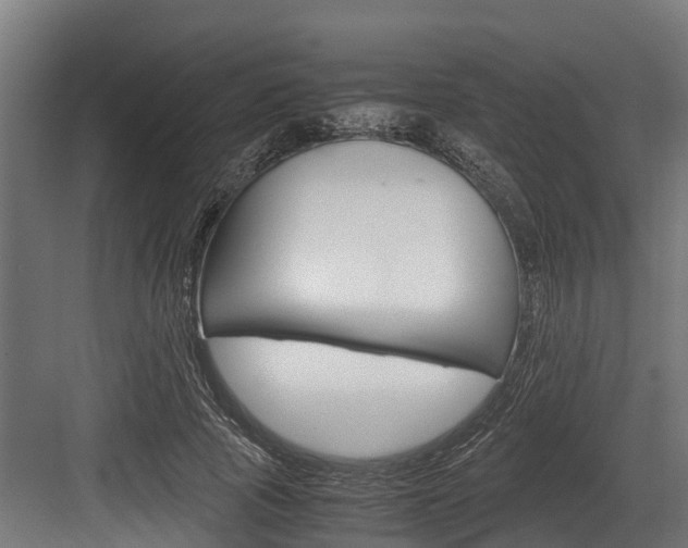X0000083620737200702120749