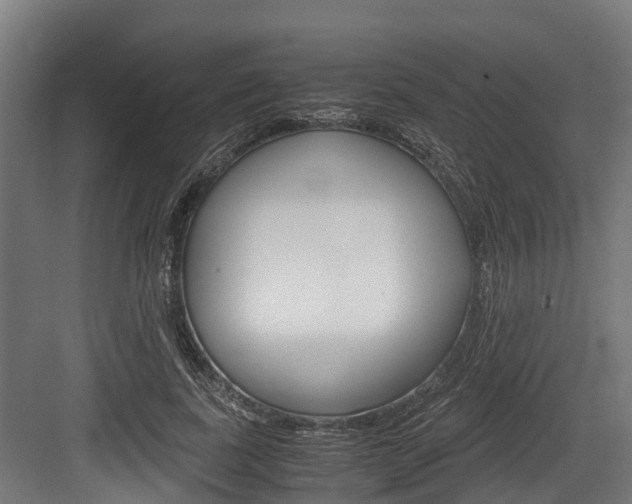 X0000083620739200702120749