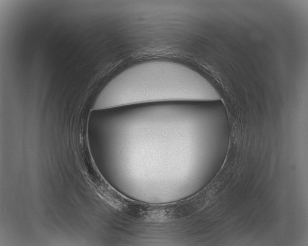 X0000083620740200702120749