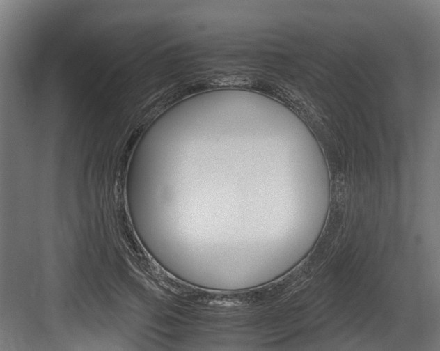 X0000083620741200702120749