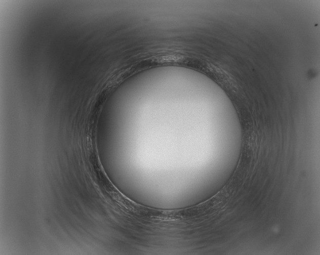 X0000083620743200702120749