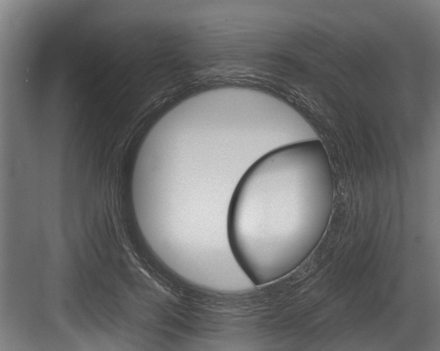X0000083620744200702120749