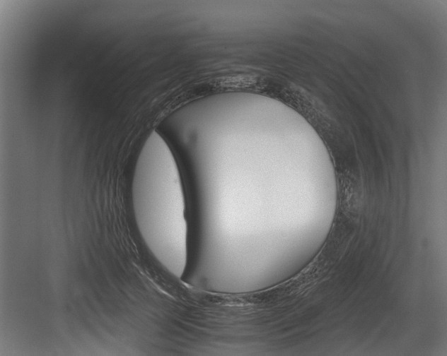 X0000083620745200702120749