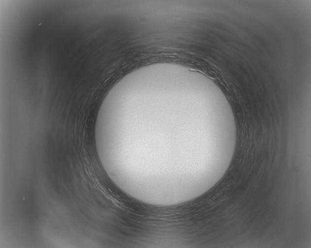 X0000083620750200702120749